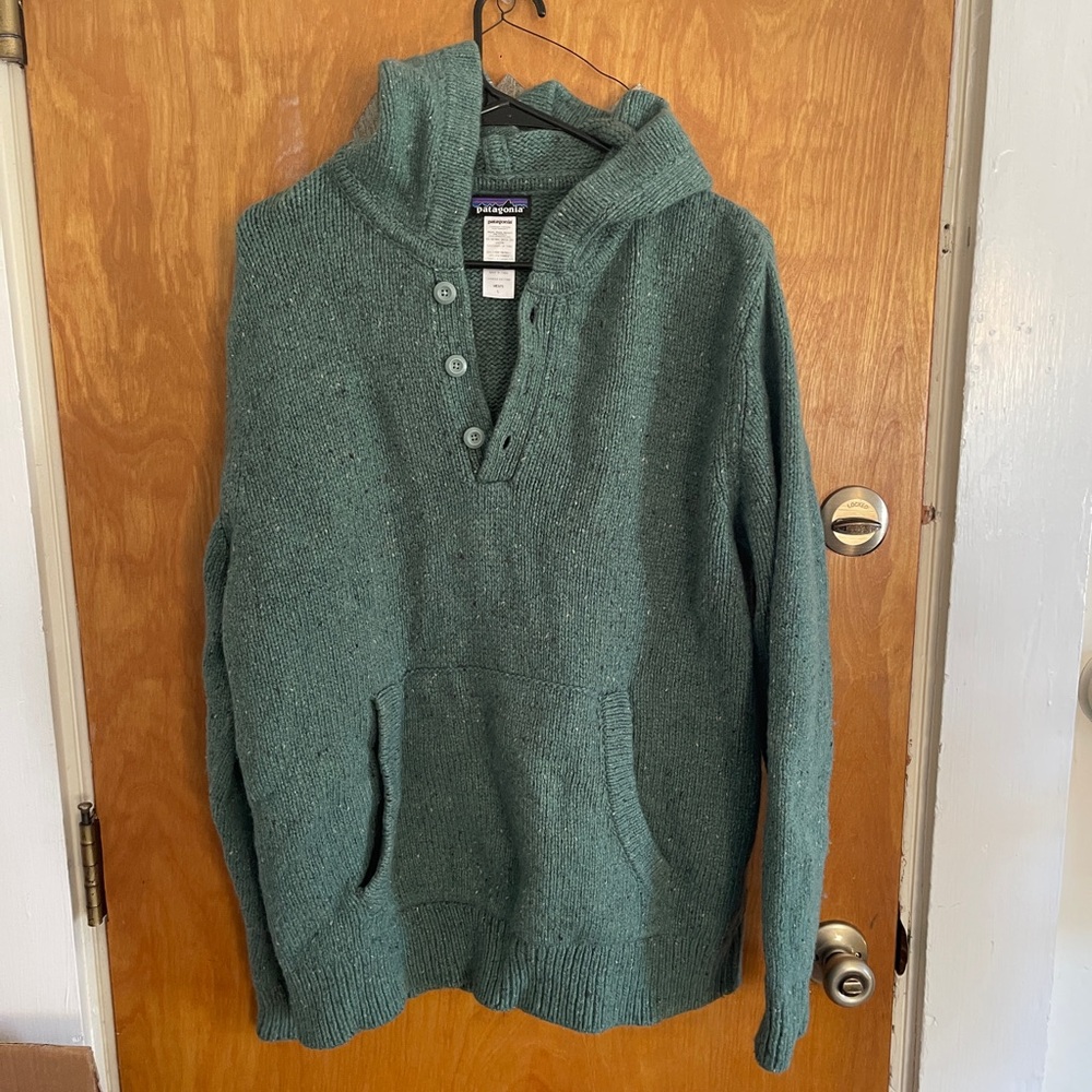 Patagonia Men's Forest Green Hooded Sweater